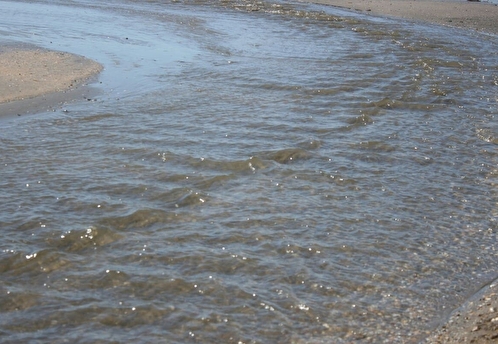Детям без сопровождения запретили посещать водоемы в Подмосковье