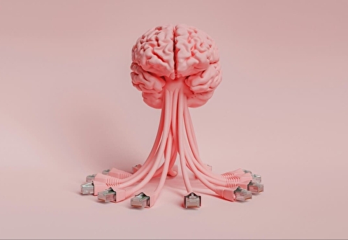 Новые методы постановки диагноза в психиатрии. Как повысить точность