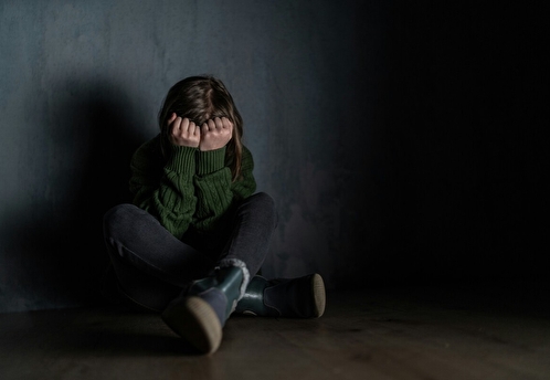 В Подмосковье решается судьба ребенка, оставленного матерью в аэропорту Турции