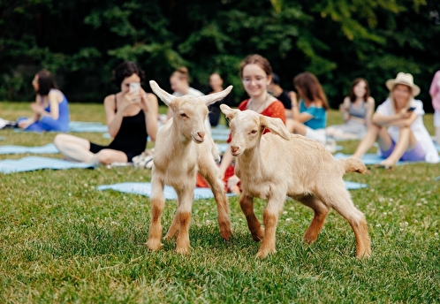 Янтарный форум, «Внезапный оазис» и йога с козочками. Гид событий недели 28 июля – 3 августа
