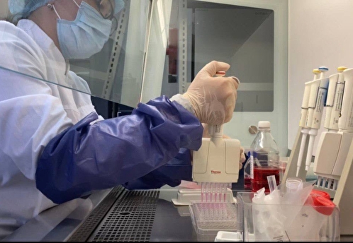 Учёные из Волгограда представили инновационную молекулу ВЛ-10 для профилактики диабета, сердечных и нейродегенеративных заболеваний