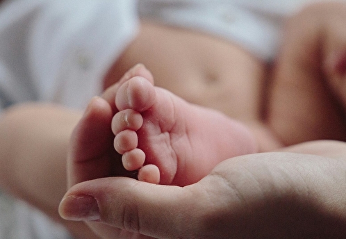 В Видном началось строительство нового корпуса перинатального центра