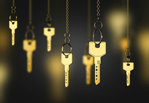 Честный бизнес в любой стране: пример того, как зарабатывать даже в самой узкопрофильной нише