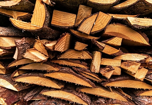 Лесопромышленность России не восстановилась после кризиса 2022 года