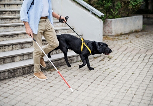 В Кузбассе запущен проект «Видимые возможности» для трудоустройства незрячих и их родственников