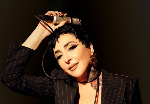 Лолита Милявская задолжала налоговой более 200 тысяч рублей