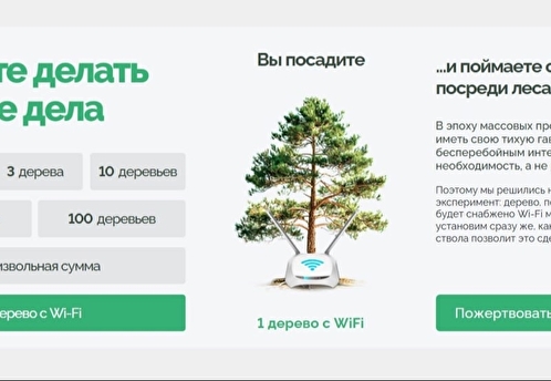 Московский благотворительный фонд «Лига заботы» предлагает деревья с Wi-Fi