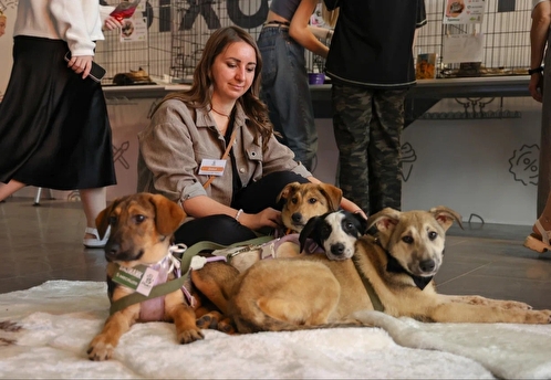 Семейный фестиваль Life Fest 2025 пройдёт в «МЕГА Белая Дача»