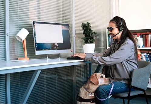 Everland обновил платформу трудоустройства людей с инвалидностью