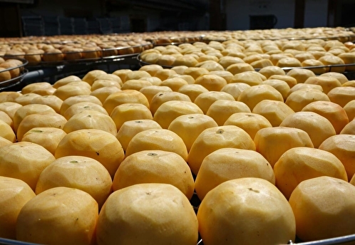 Антисанитария и микробные превышения найдены в «Крошке Картошке»