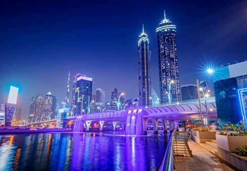 Эксперт рассказала, почему ОАЭ предоставляют гражданство иностранным предпринимателям