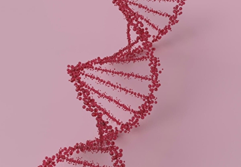 Больше, чем гены: как ДНК-тесты помогают лучше понять себя