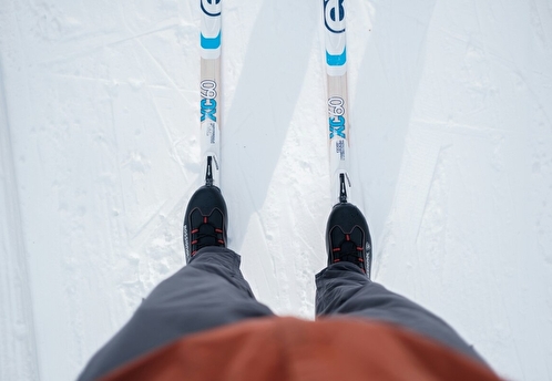 Благотворительная лыжня «Самое время жить» пройдет в День всех влюбленных