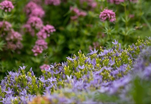 Экологи предупредили о рисках экстремального лета 2026 года