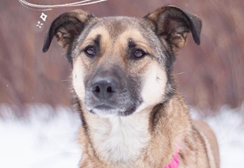 Фонд «Будь другом» приглашает на благотворительную Мафию