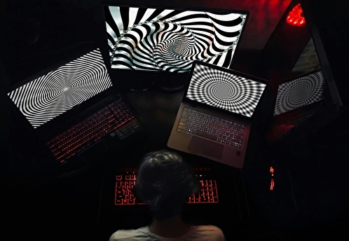 Перед гендерными праздниками интернет-мошенники атакуют чаще обычного