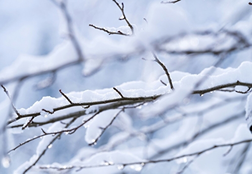 Снегопады 4 марта увеличили время поездок на такси до 30% и сместили вечерний час пик