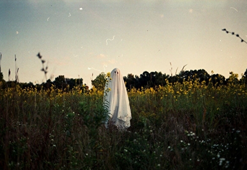 Самостоятельное банкротство: шанс или опасная игра