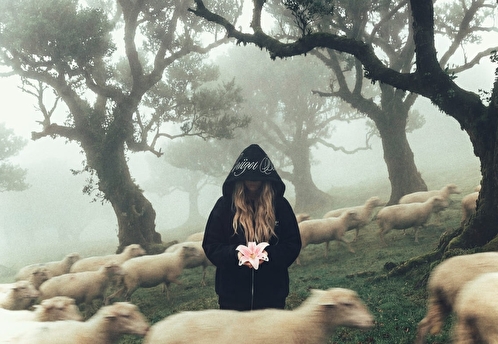 лил кидд — «Флористика»: альбом, выросший из простых моментов любви