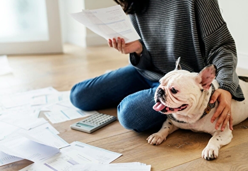 В Тюмени девятилетнюю девочку обязали погасить долги матери