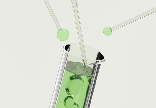 Биоактиваторы помогают поддерживать работу септиков без химии