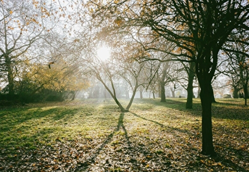 В Подмосковье продолжается масштабное благоустройство парков и набережных