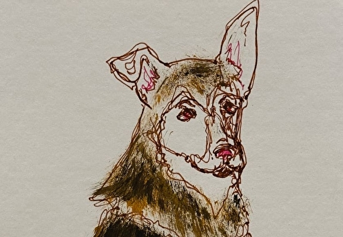 Московские художники создали пасхальные открытки для собак из приюта