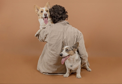 Аллергия у собак: почему причина не всегда в корме