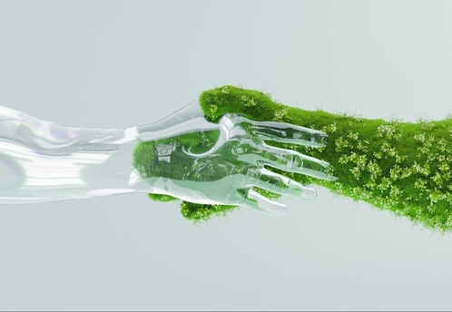 Светлана Радионова и Антон Устинов: экологическая культура — опыт партнерства Росприроднадзора и СОГАЗа