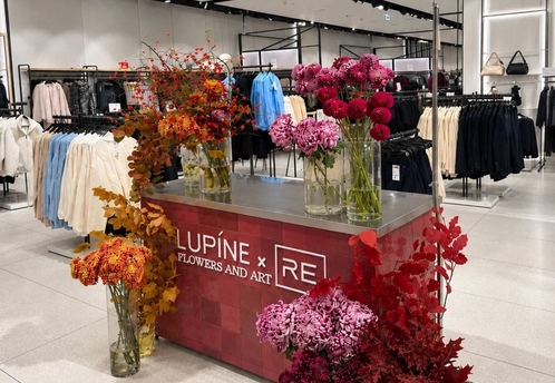 В RE появился цветочный корнер Lupine
