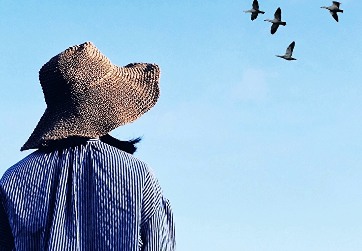 6 книжных научно-популярных новинок: от чуда дыхания до искусственного интеллекта