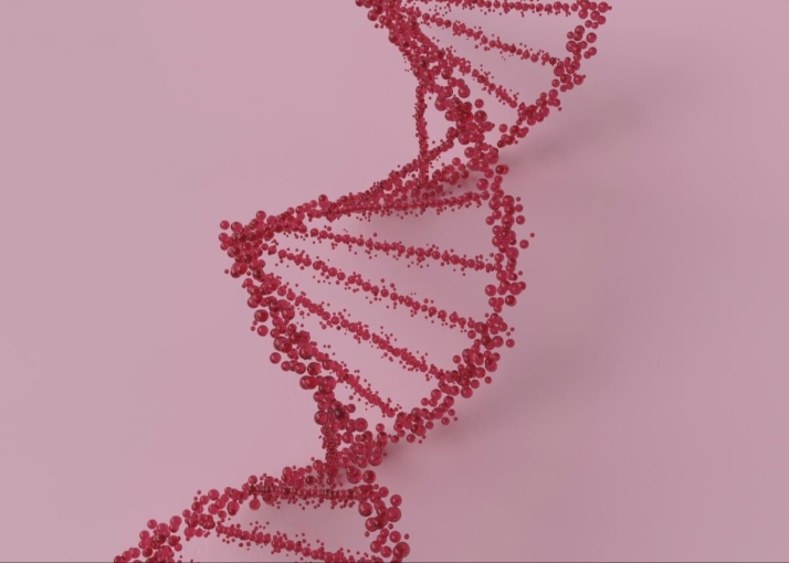 Больше, чем гены: как ДНК-тесты помогают лучше понять себя