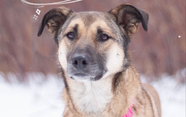 Фонд «Будь другом» приглашает на благотворительную Мафию