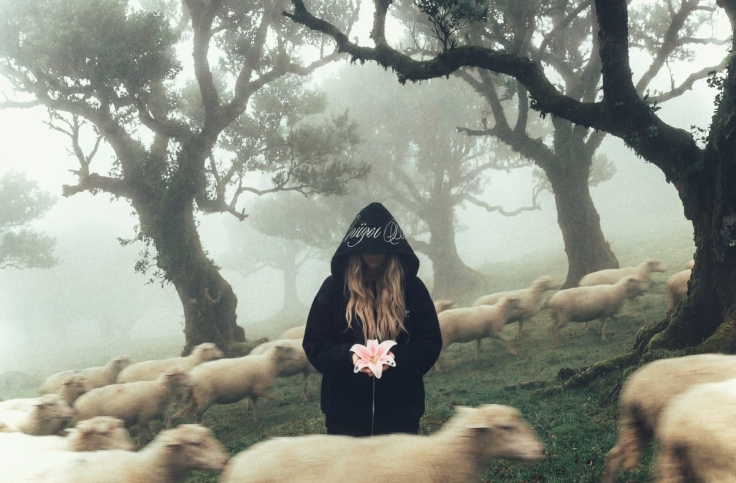 лил кидд — «Флористика»: альбом, выросший из простых моментов любви