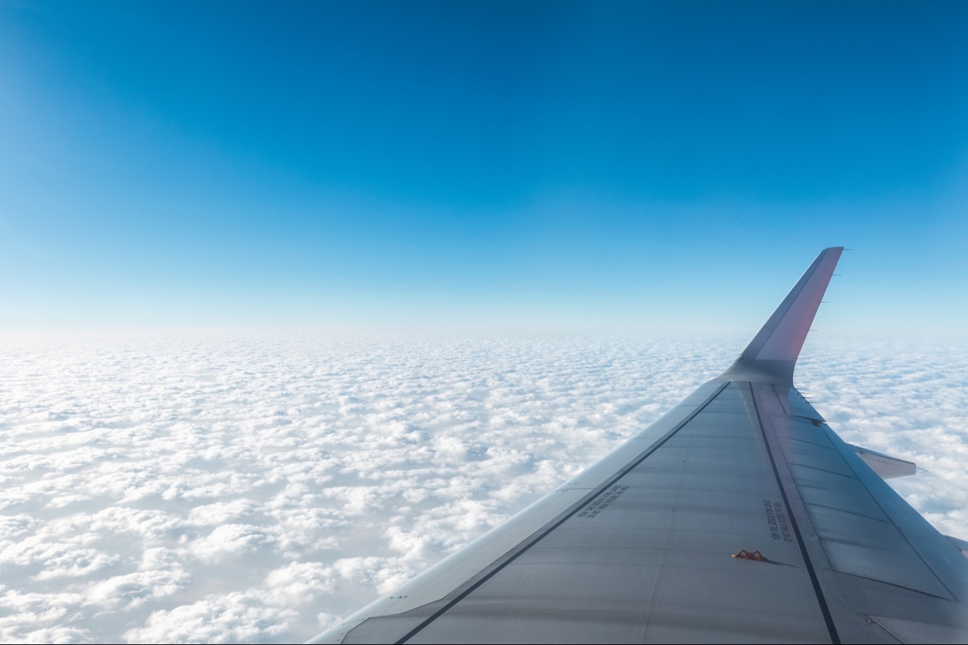 Аэрофлот начнёт выполнять рейсы из Сочи в Армению, Египет, Израиль, Казахстан, Турцию и Узбекистан
