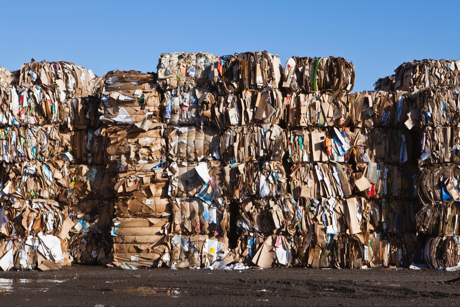 РЭО разработал систему сертификации переработчиков мусора