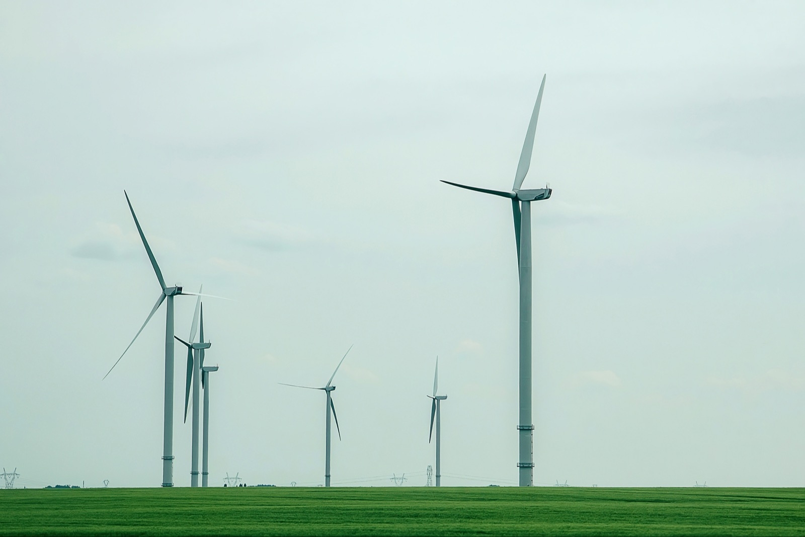 Лучшие экоактивисты получат денежные призы