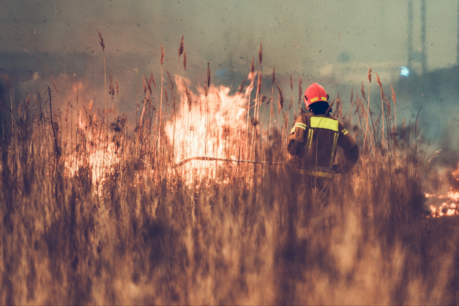 В МЧС поделились правилами поведения при лесных пожарах