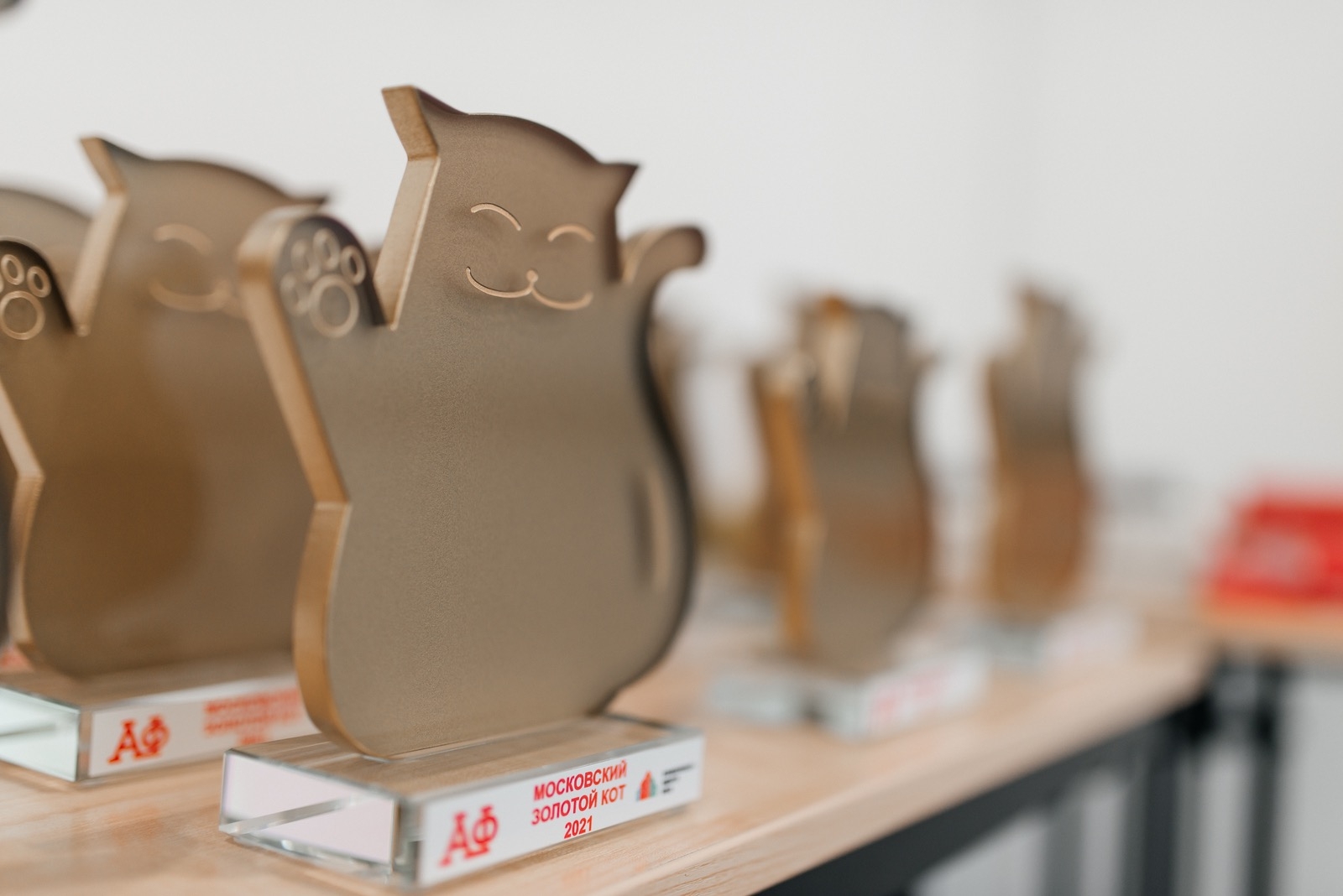 НКО приглашают принять участие в премии «Золотой кот 2022»