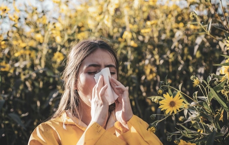 Аллерголог: концентрация пыльцы в городах может быть очень высокой