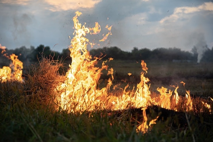 Губернатор Воробьев призвал усилить пожарную безопасность в лесах Московской области