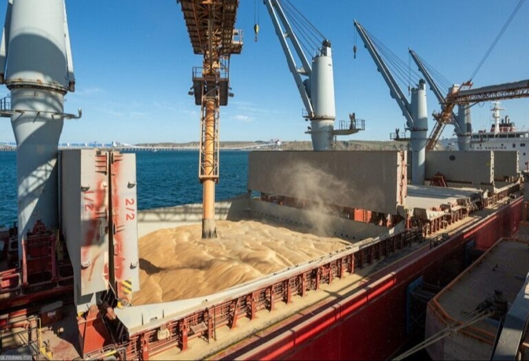 Песков: Москва четко выполняла обязательства по зерновой сделке