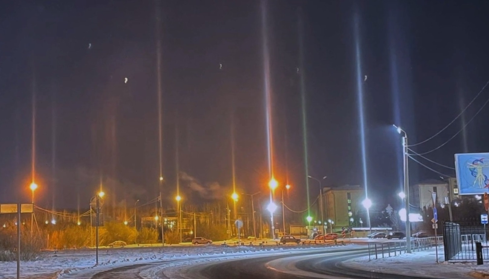 Новости регионов: световые столбы в небе над Тюменью, заготовка мяса собак в Хабаровске