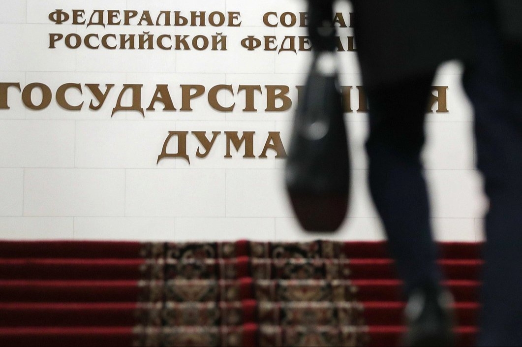 Госдума отметила неисполнение поручений Путина по вопросу о бездомных животных