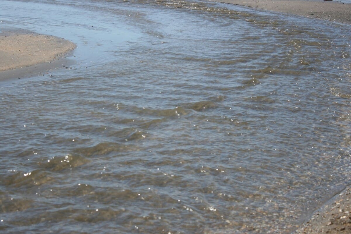 Детям без сопровождения запретили посещать водоемы в Подмосковье