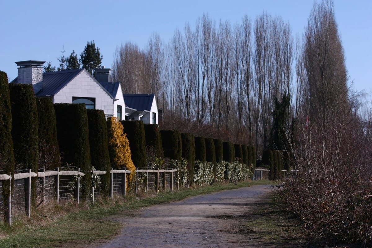 В Подмосковье с 2026 года введут новые правила для строительства частных домов