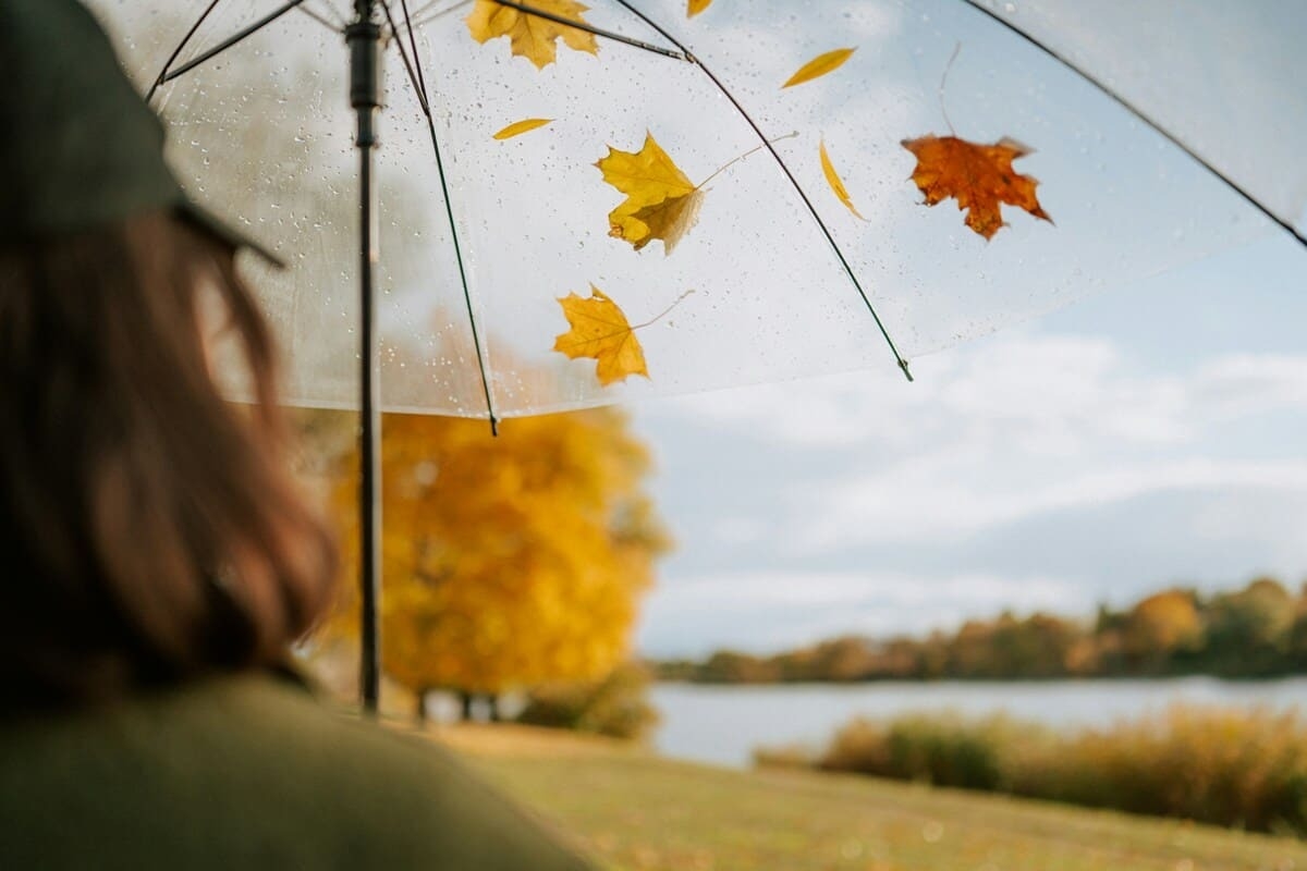 Много джаза, шоу японских барабанщиков и «Золотая черепаха». Гид событий 20-26 октября
