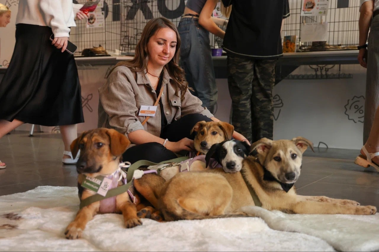 Семейный фестиваль Life Fest 2025 пройдёт в «МЕГА Белая Дача»