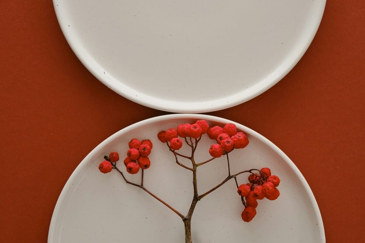 Экскурсия на жестовом языке, эко-фестиваль и Керамания. Гид событий 27 октября-2 ноября