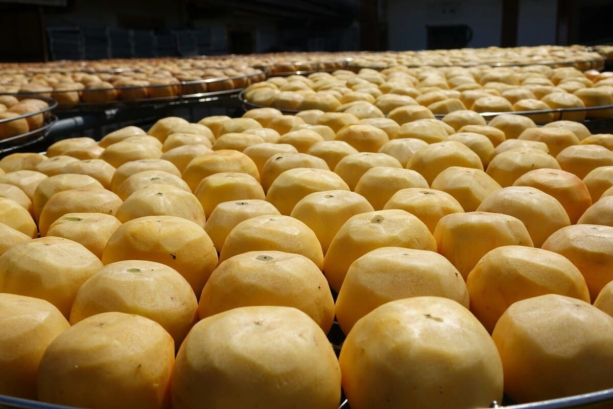 Антисанитария и микробные превышения найдены в «Крошке Картошке»